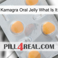 Kamagra Oral Jelly What Is It 24